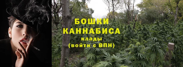PSILOCYBIN Абаза