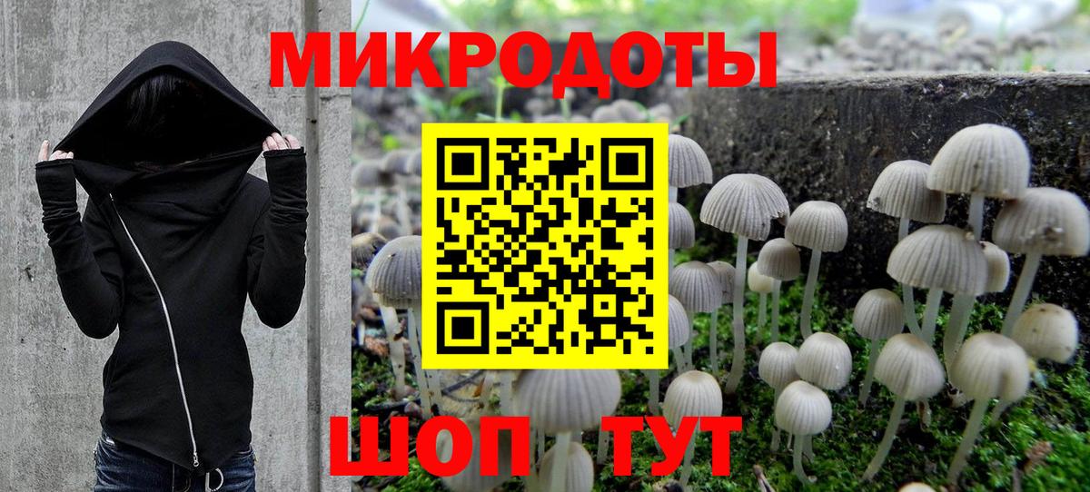 Псилоцибиновые грибы GOLDEN TEACHER  Вход с VPN  где купить наркотик  Азнакаево 