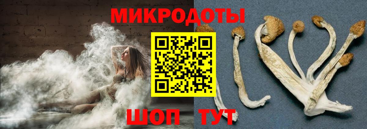 Галлюциногенные грибы Psilocybe Азнакаево